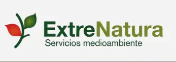 company image